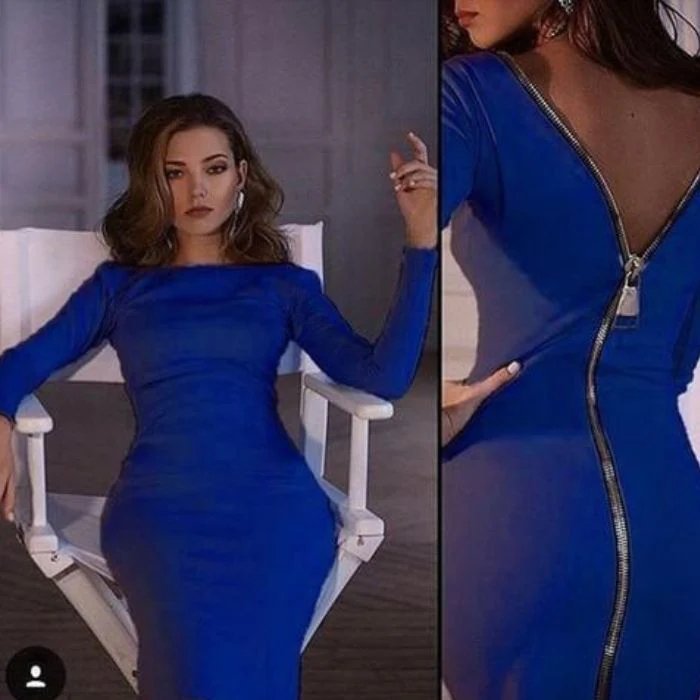 Bernadeth Bodycon Dress Featuring a Full-Length Back Zipper